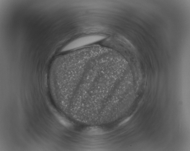 X0000081320589200702082138