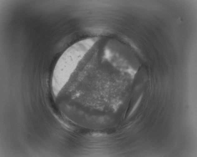 X0000081320590200702082138