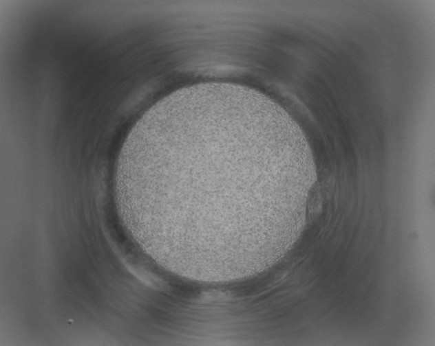 X0000081320591200702082138