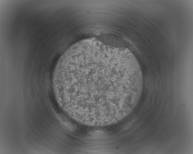 X0000081320594200702082138