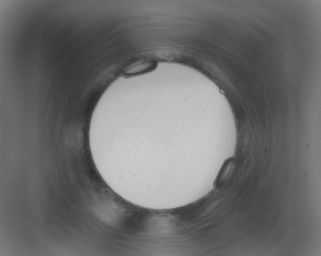 X0000081320595200702082138