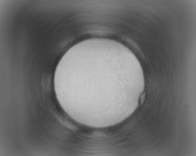 X0000081320596200702082138