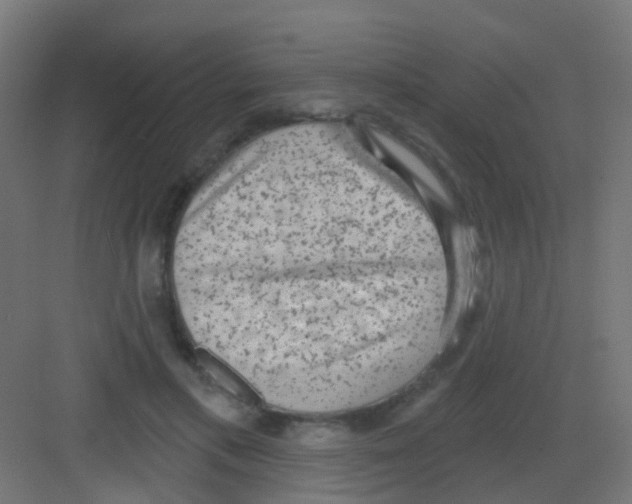 X0000081320597200702082138