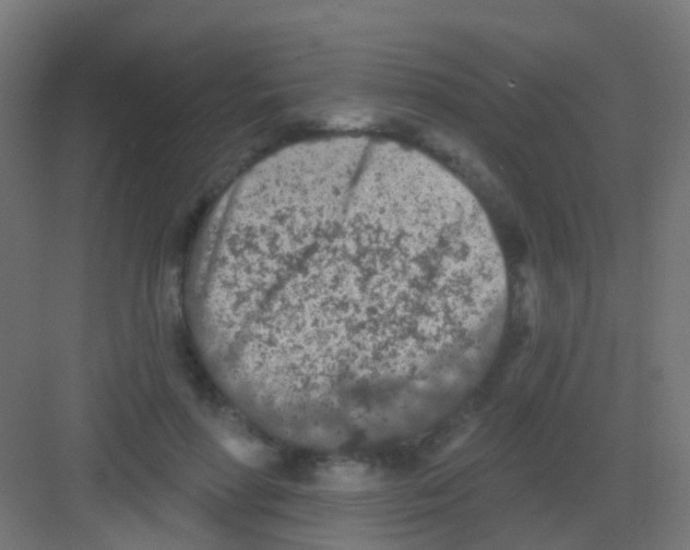 X0000081320598200702082138