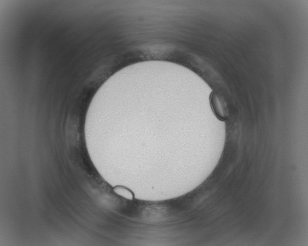 X0000081320599200702082138