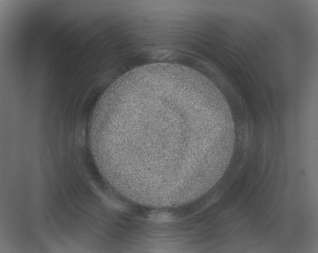 X0000081320602200702082138