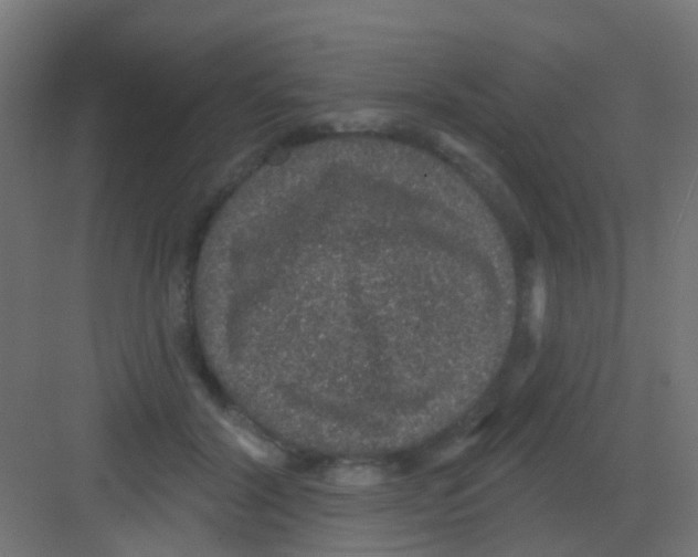 X0000081320604200702082138