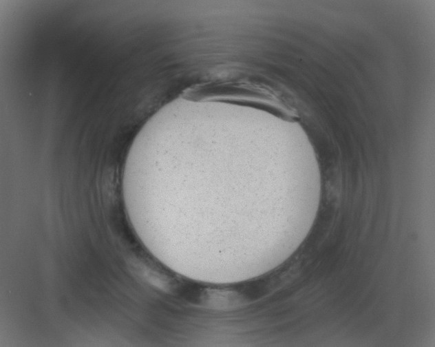 X0000081320605200702082138