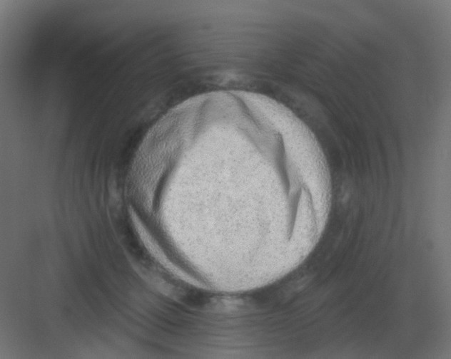 X0000081320607200702082138