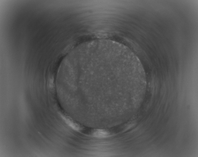 X0000081320610200702082138