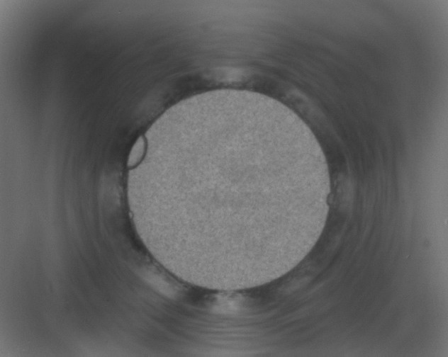 X0000081320612200702082138