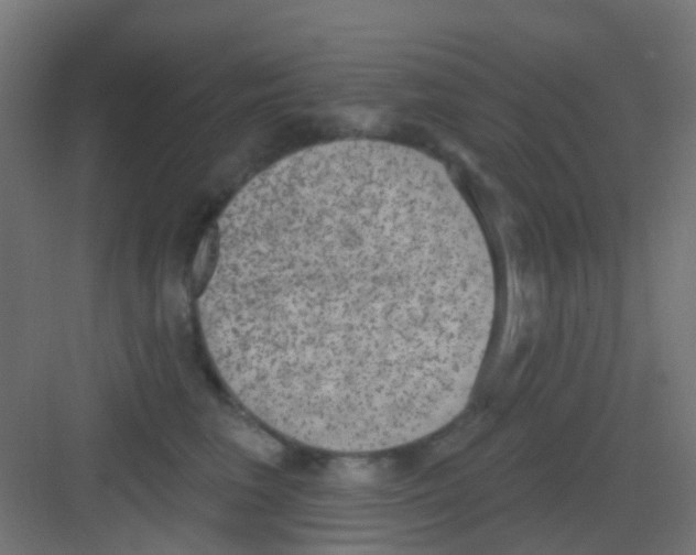 X0000081320613200702082138