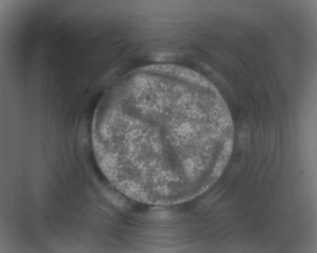 X0000081320620200702082138