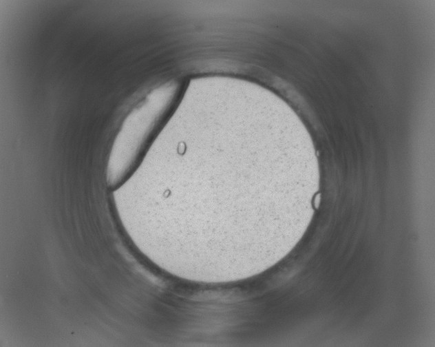 X0000081320625200702082137