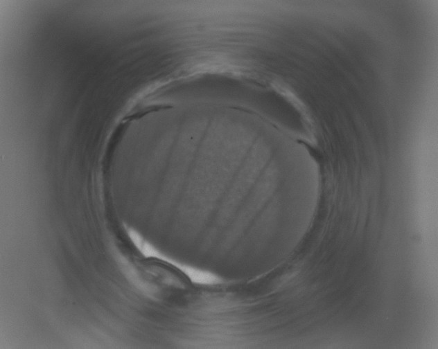 X0000081320626200702082137