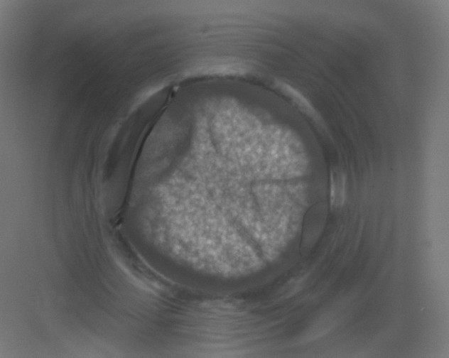 X0000081320627200702082137