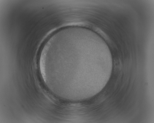 X0000081320628200702082137