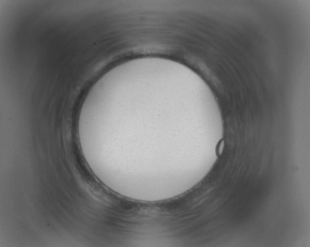 X0000081320631200702082137