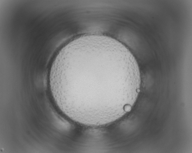 X0000081320632200702082137