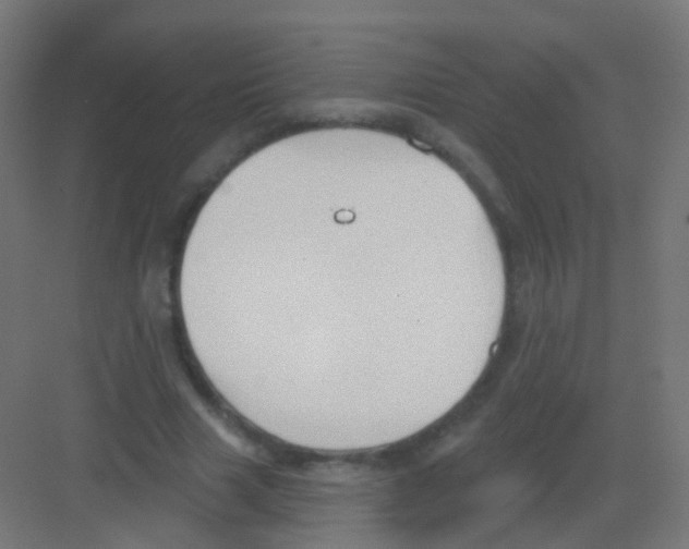 X0000081320633200702082137