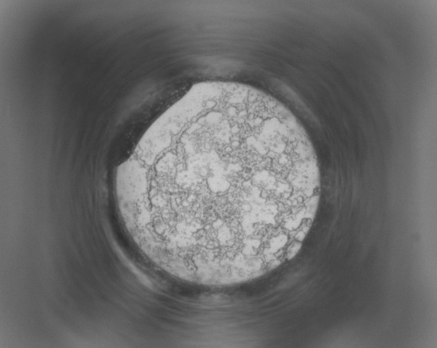 X0000081320634200702082137