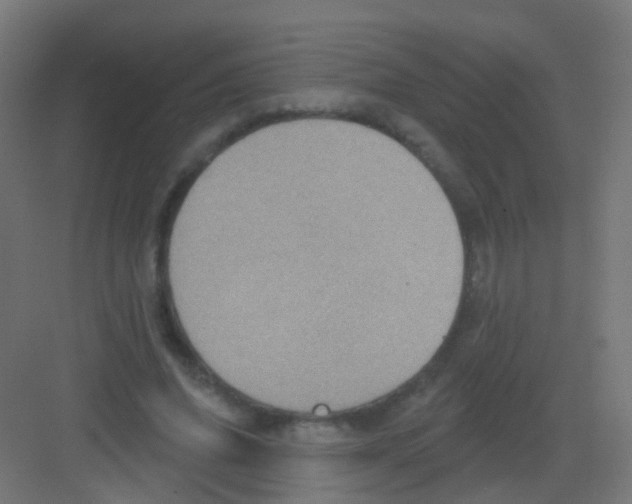 X0000081320636200702082137