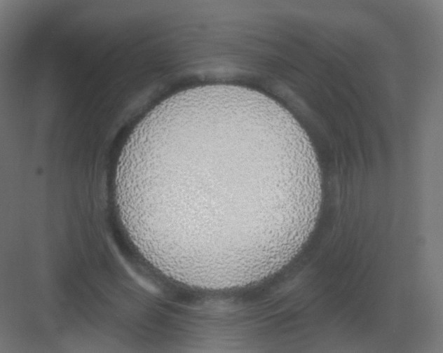 X0000081320638200702082137