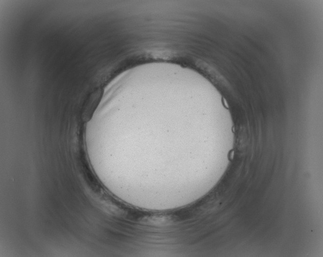 X0000081320639200702082137