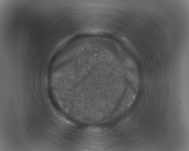 X0000081320640200702082137