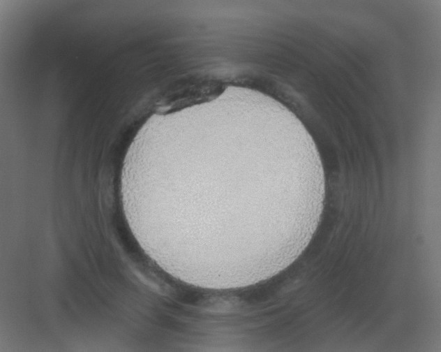 X0000081320642200702082137