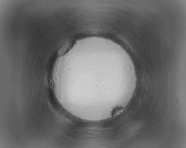 X0000081320643200702082137