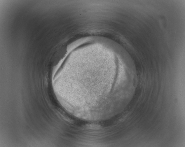 X0000081320644200702082137