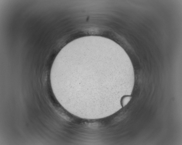 X0000081320645200702082137