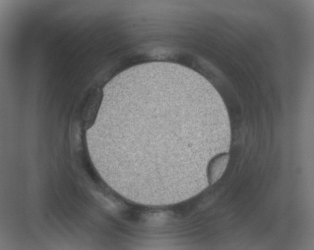 X0000081320646200702082137