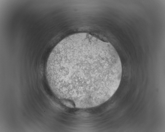 X0000081320648200702082137