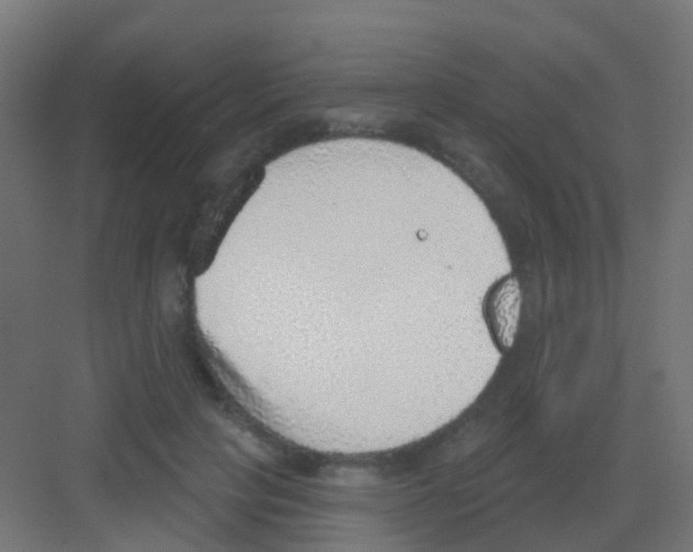 X0000081320649200702082137