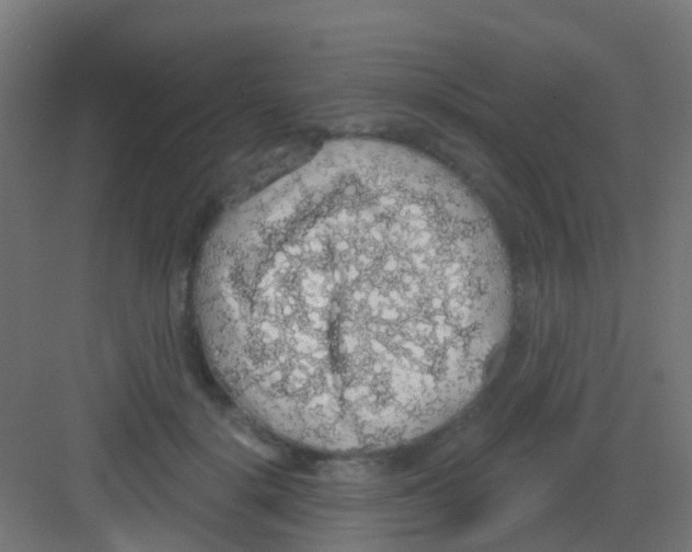 X0000081320652200702082137