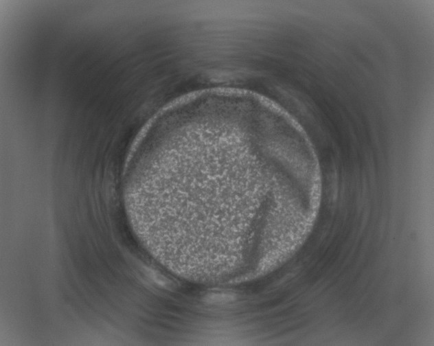 X0000081320653200702082137