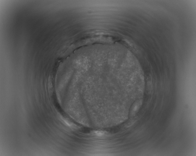 X0000081320654200702082137