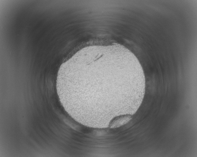 X0000081320662200702082137