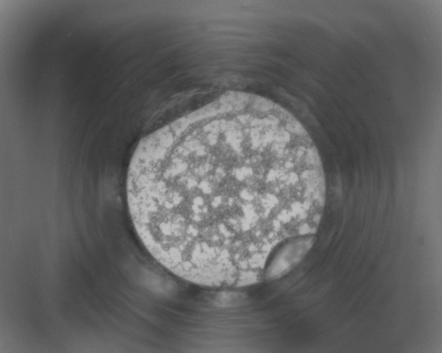 X0000081320663200702082137