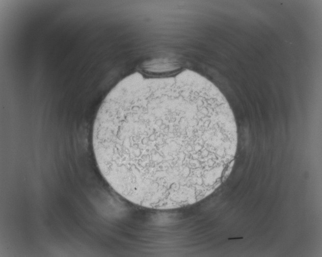 X0000081320664200702082137