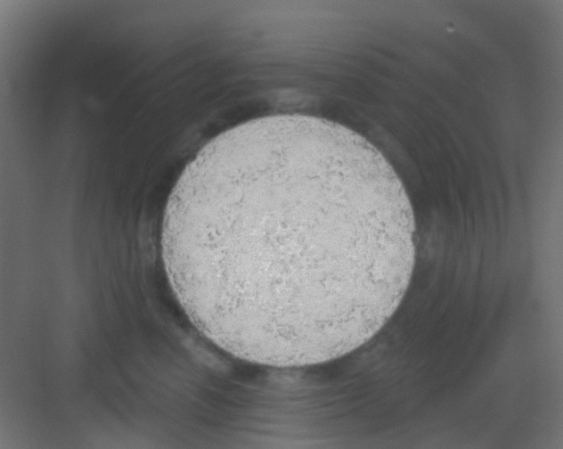 X0000081320666200702082137