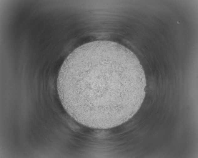 X0000081320667200702082137