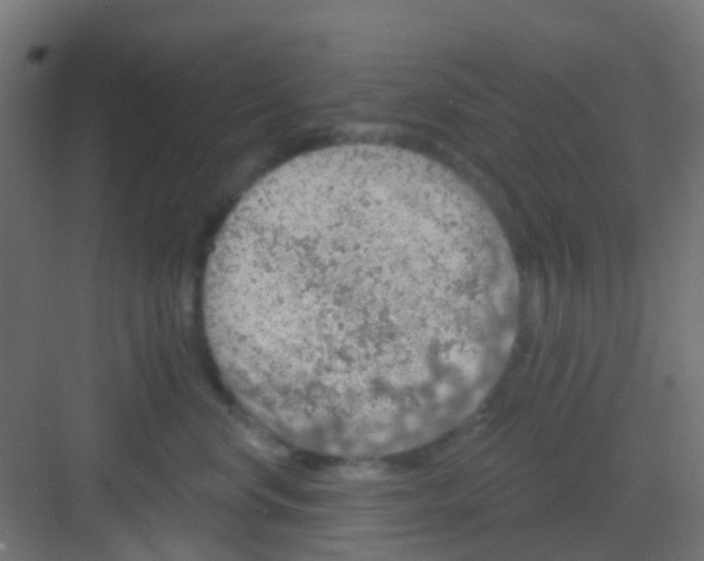 X0000081320668200702082137