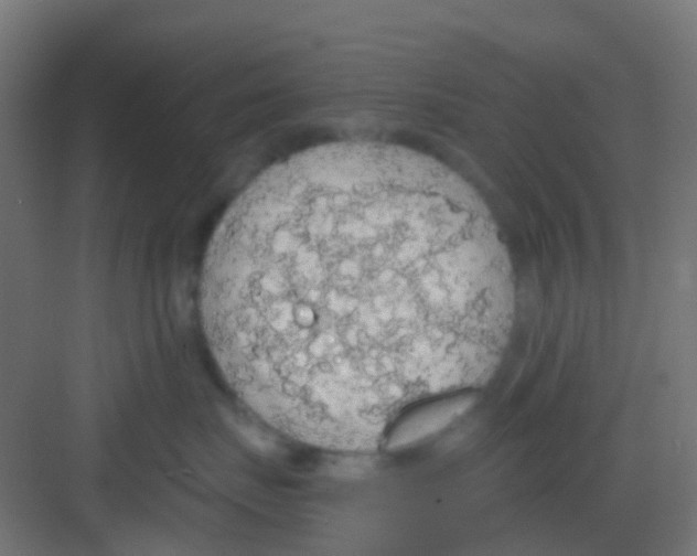 X0000081320671200702082137