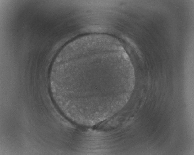 X0000081320673200702082137