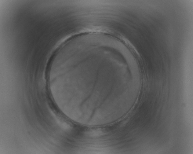 X0000081320674200702082137