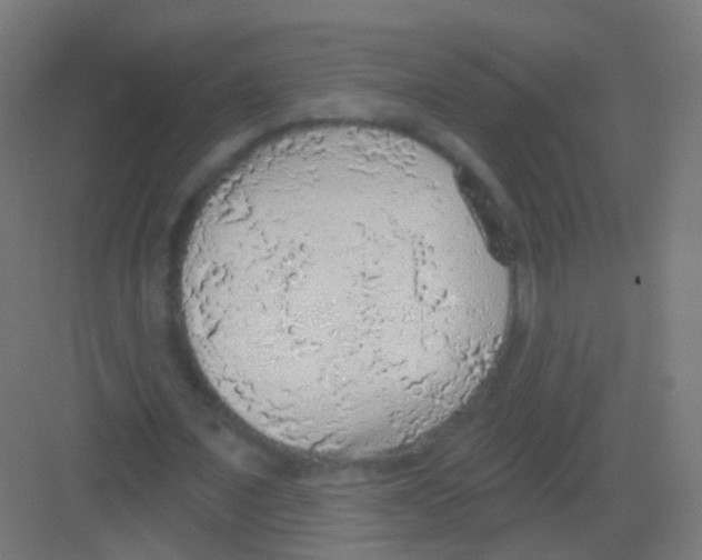 X0000081320675200702082137