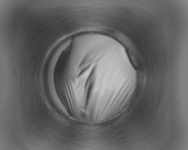 X0000081320676200702082137